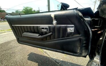 Pontiac-Trans-Am-1981-T-TOPS-10