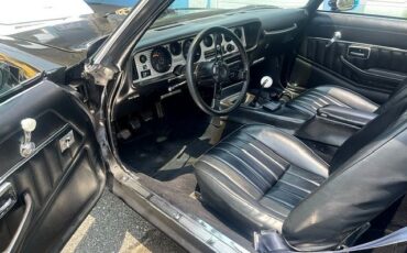 Pontiac-Trans-Am-1981-T-TOPS-12