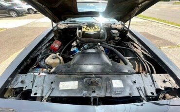 Pontiac-Trans-Am-1981-T-TOPS-17