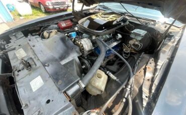 Pontiac-Trans-Am-1981-T-TOPS-18