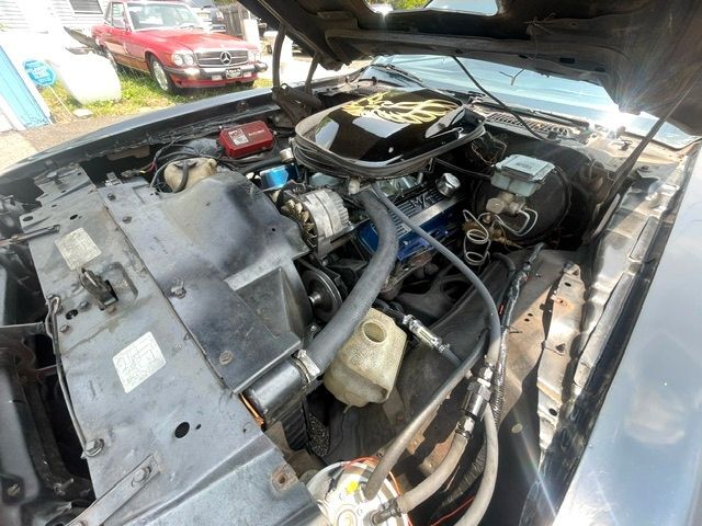 Pontiac-Trans-Am-1981-T-TOPS-18