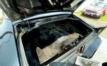Pontiac-Trans-Am-1981-T-TOPS-21