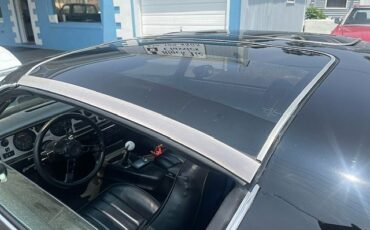 Pontiac-Trans-Am-1981-T-TOPS-7