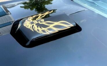 Pontiac-Trans-Am-1981-T-TOPS-9