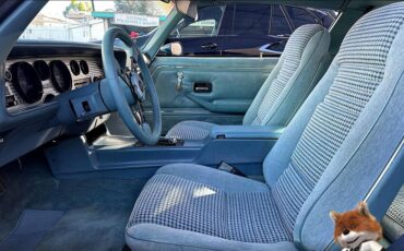 Pontiac-Trans-am-1979-11