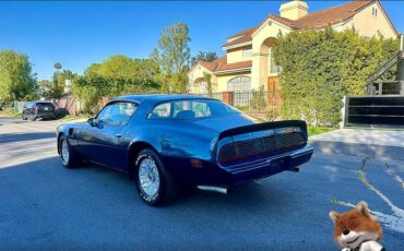 Pontiac-Trans-am-1979-4