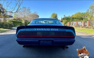 Pontiac-Trans-am-1979-5
