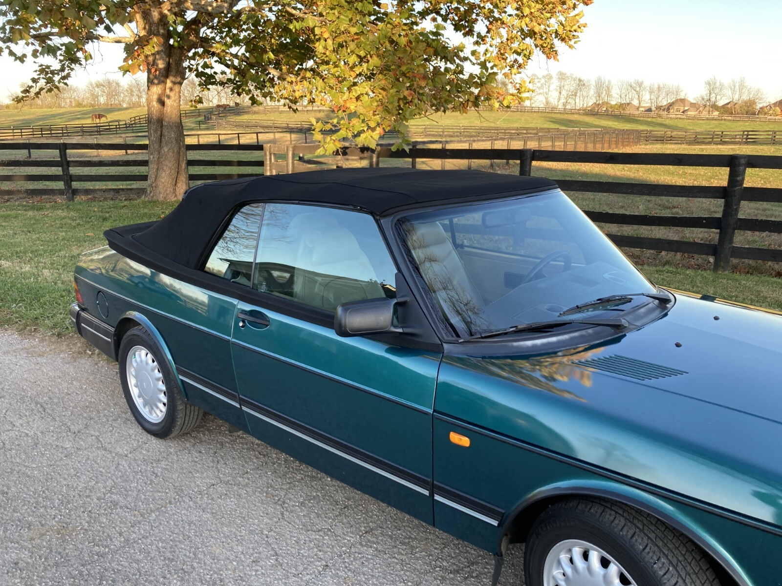 Saab-900-1993-Convertible-15
