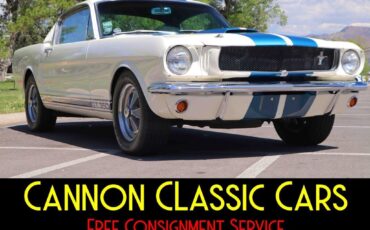 Shelby-American-Mustang-GT350-1965-10