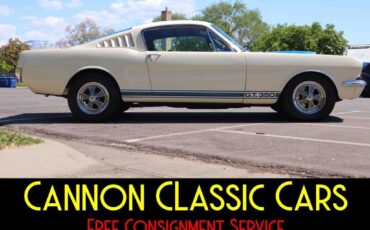 Shelby-American-Mustang-GT350-1965-12