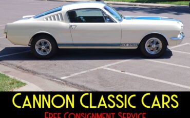 Shelby-American-Mustang-GT350-1965-13
