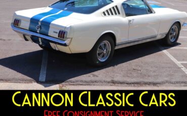 Shelby-American-Mustang-GT350-1965-14