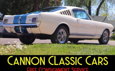 Shelby-American-Mustang-GT350-1965-15