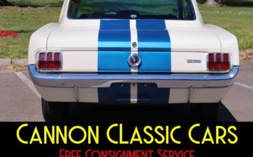 Shelby-American-Mustang-GT350-1965-17