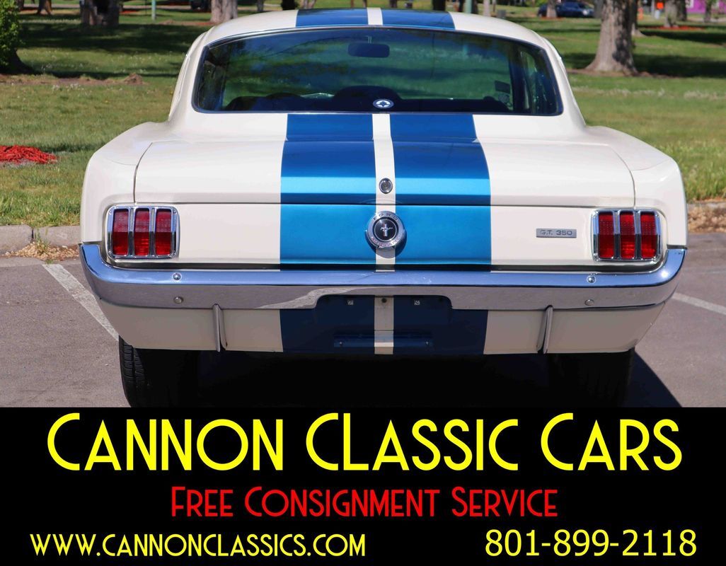 Shelby-American-Mustang-GT350-1965-17