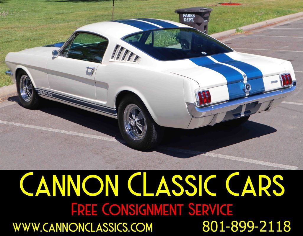 Shelby-American-Mustang-GT350-1965-19