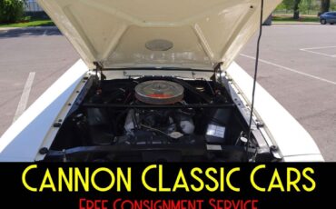 Shelby-American-Mustang-GT350-1965-21