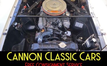 Shelby-American-Mustang-GT350-1965-22
