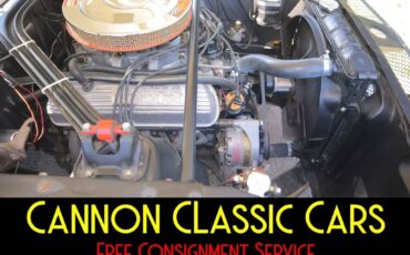 Shelby-American-Mustang-GT350-1965-24