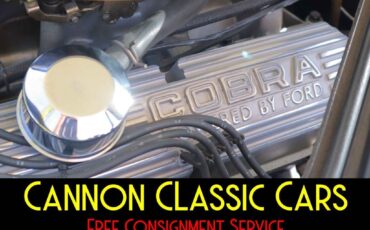 Shelby-American-Mustang-GT350-1965-25