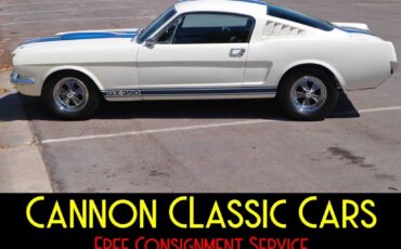 Shelby-American-Mustang-GT350-1965-3