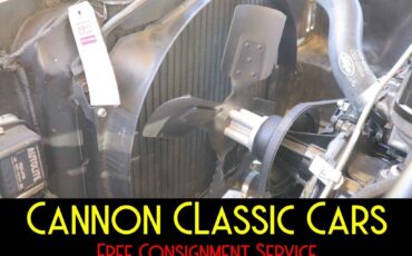 Shelby-American-Mustang-GT350-1965-30