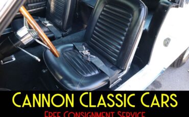 Shelby-American-Mustang-GT350-1965-32