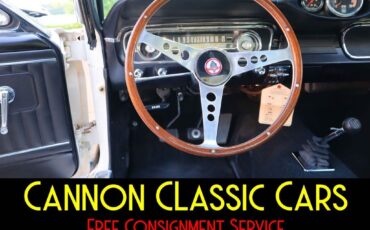 Shelby-American-Mustang-GT350-1965-34
