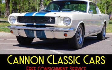 Shelby-American-Mustang-GT350-1965-4