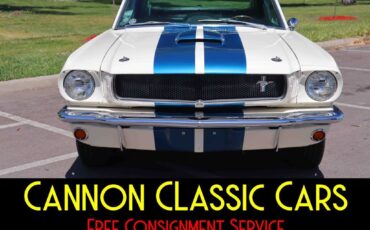 Shelby-American-Mustang-GT350-1965-6