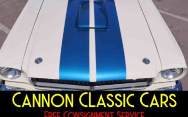 Shelby-American-Mustang-GT350-1965-8
