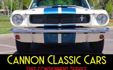 Shelby-American-Mustang-GT350-1965-9