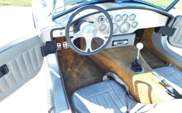 Shelby-Cobra-1964-Race-Car-7