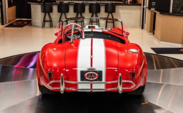 Shelby-Cobra-1965-Other-14