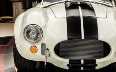 Shelby-Cobra-1965-Other-19