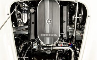 Shelby-Cobra-1965-Other-2