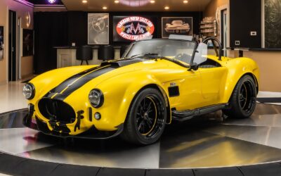 Shelby Cobra 1965 Other