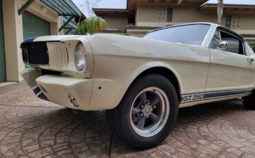 Shelby-GT350-1965-Coupe-7