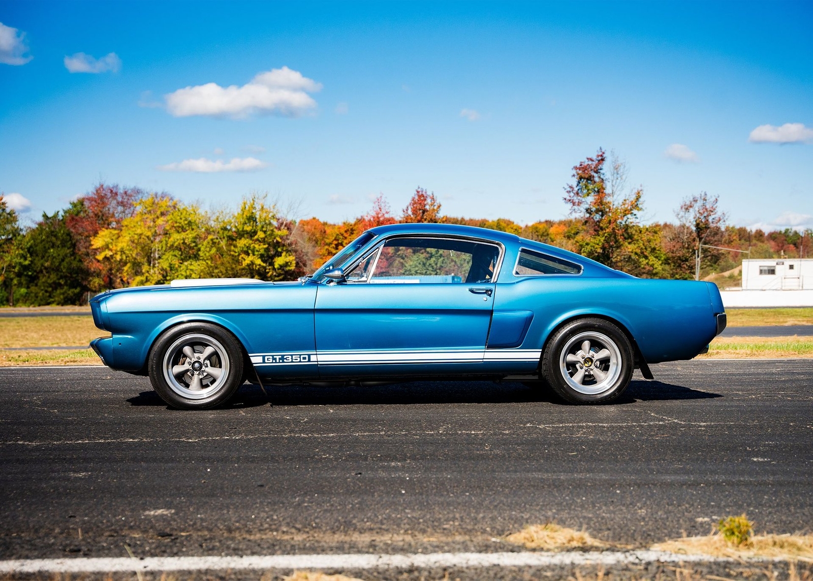 Shelby-GT350-1966-Other-10