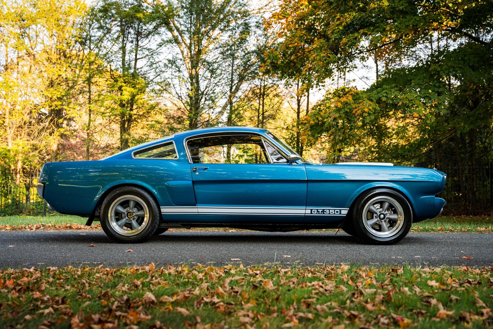 Shelby-GT350-1966-Other-13