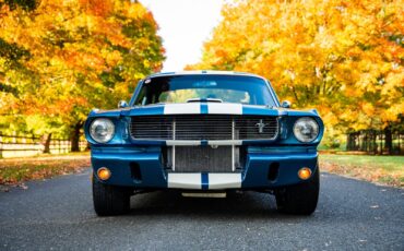 Shelby-GT350-1966-Other-14