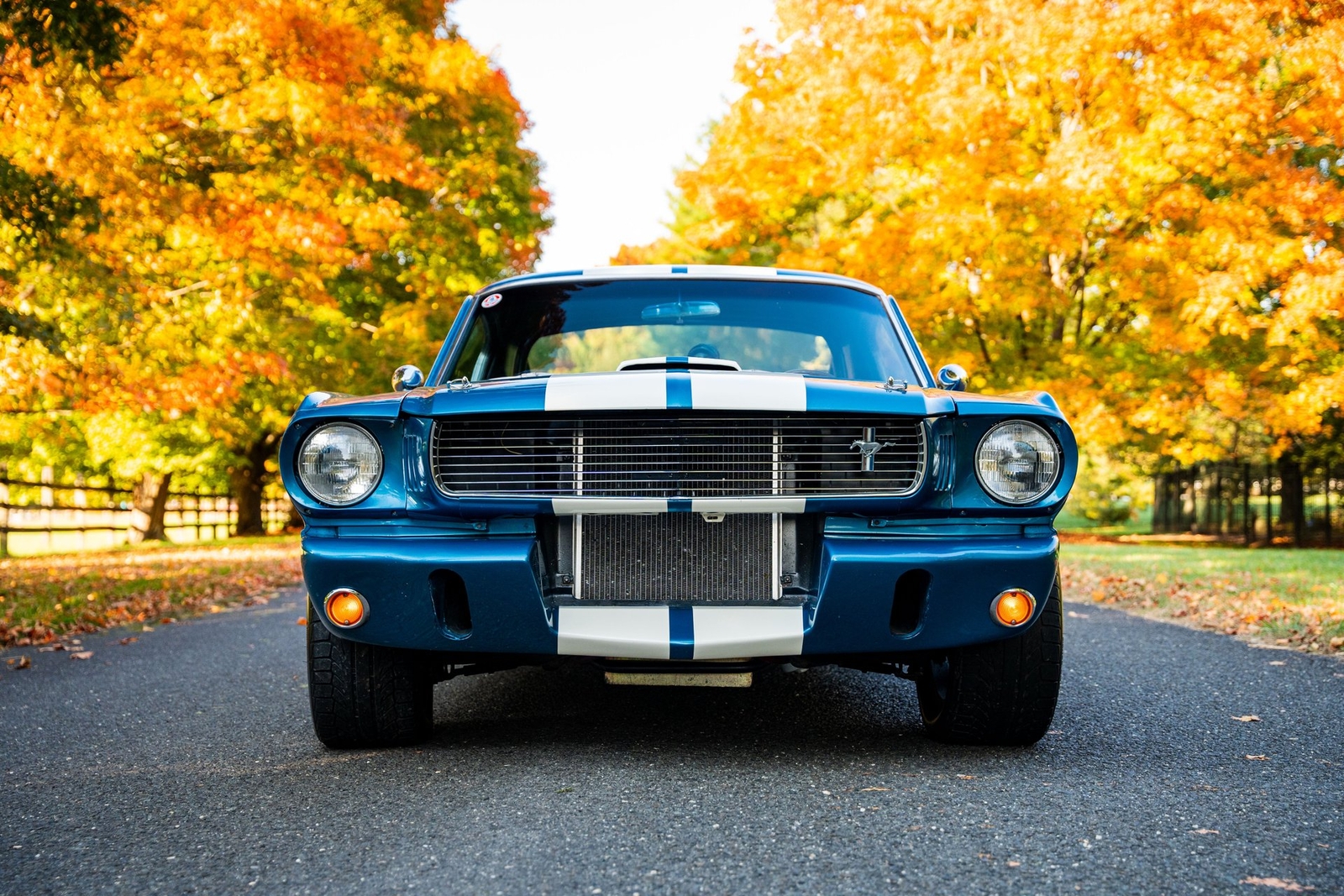 Shelby-GT350-1966-Other-14
