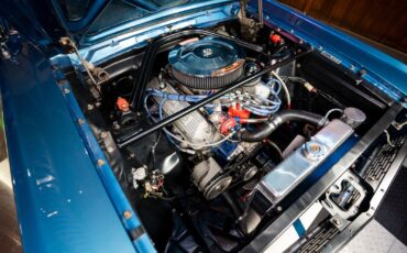 Shelby-GT350-1966-Other-17