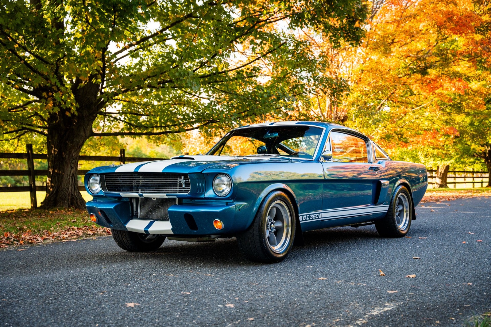 Shelby-GT350-1966-Other-9