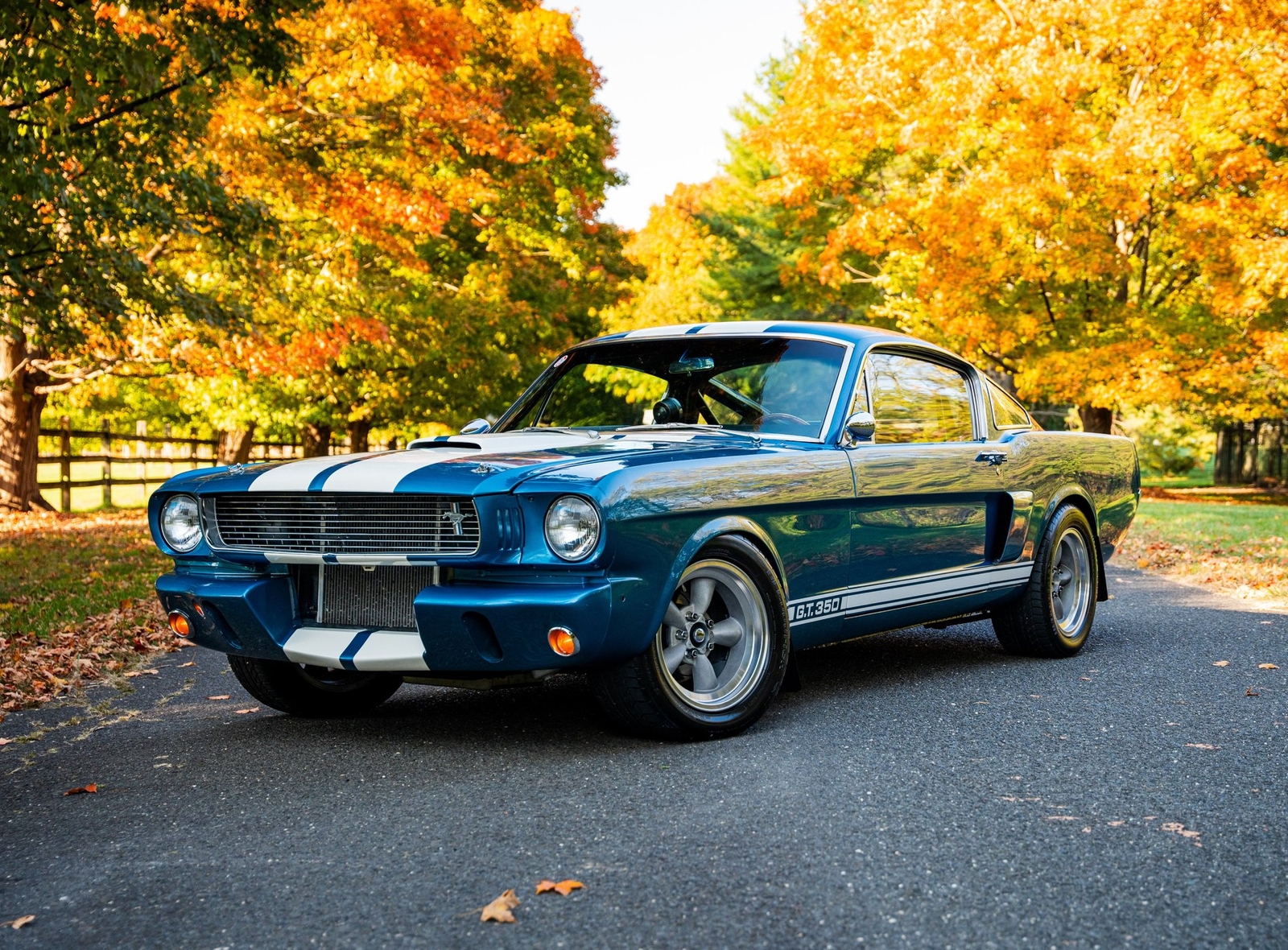 Shelby-GT350-1966-Other
