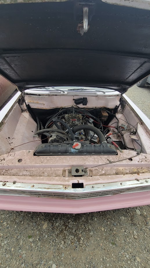 Studebaker-Commander-1965-Coupe-4