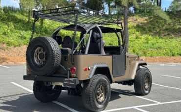 Toyota-FJ-Cruiser-1974-Convertible-11