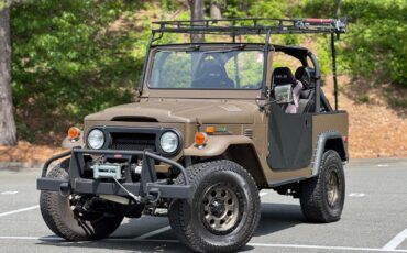 Toyota-FJ-Cruiser-1974-Convertible