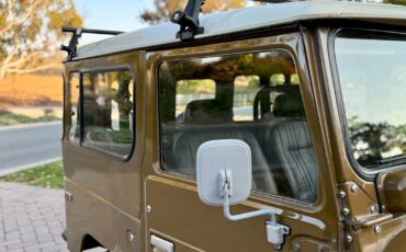 Toyota-FJ-Cruiser-1978-29