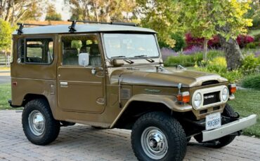 Toyota-FJ-Cruiser-1978-5